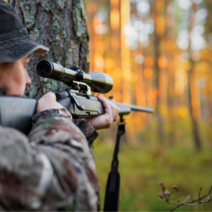Sporting GoodsA hunter in the woods, leaned against a tree looking through a rifle scope.