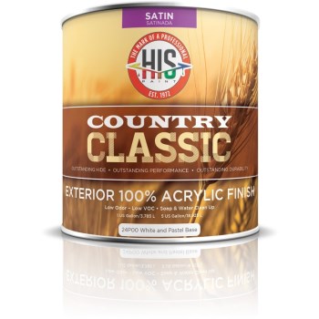 H-I-S Paint Company 24B36-1 1g St Ext Black