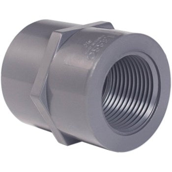 Lesso America Inc 830-015 1-1/2 Schedule 80 FPT x FPT Coupling