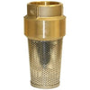 Merrill Mfg FVNL200 2 Brass Foot Valve