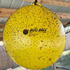 Bug Ball Gnat Ball Complete Kit