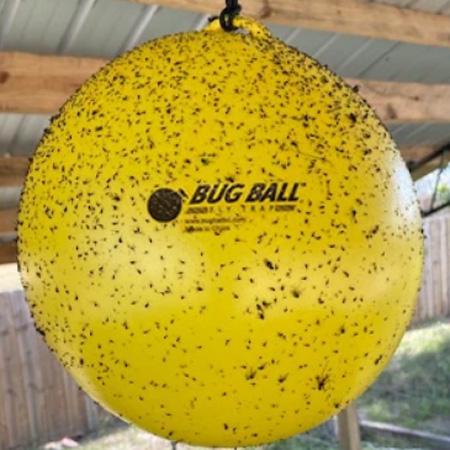 Bug Ball Gnat Ball Complete Kit