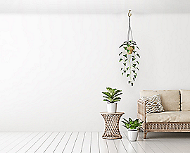 National Hardware Modern Ceiling J Hook 3-11/32-in, Brushed Gold