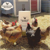 Riverbend Resources Poultry Pro Waterer