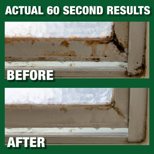 MOLD ARMOR Rapid Clean Remediation – 32oz. Spray Bottle